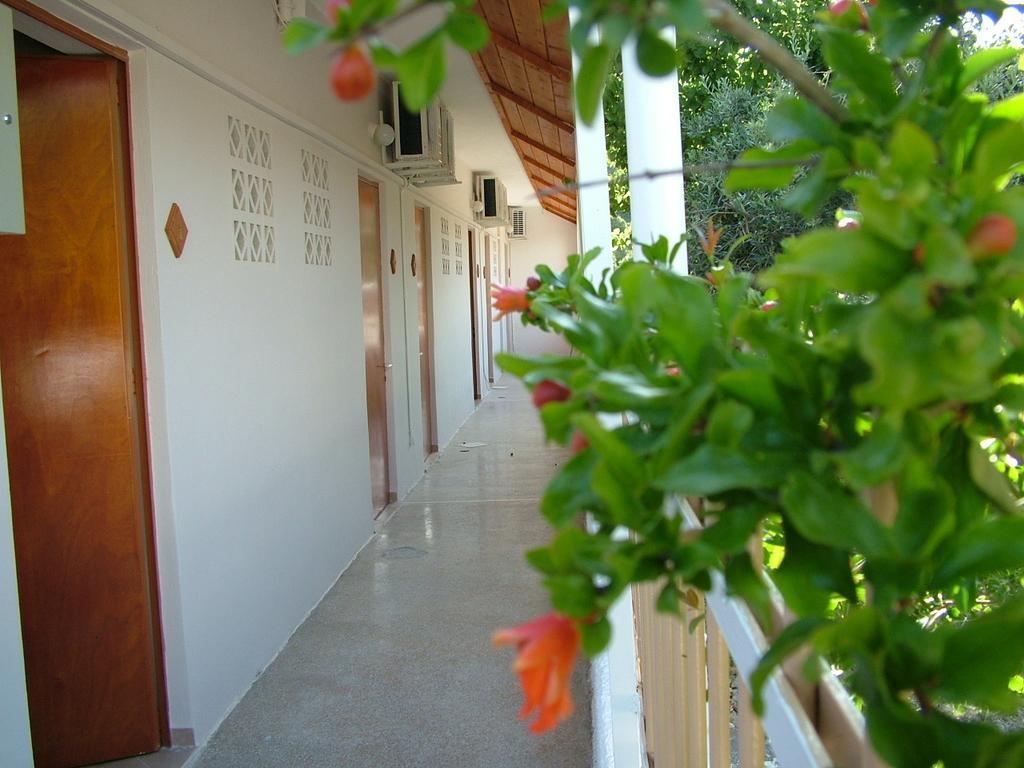 George'S Apartment Agia Marina  Habitación foto